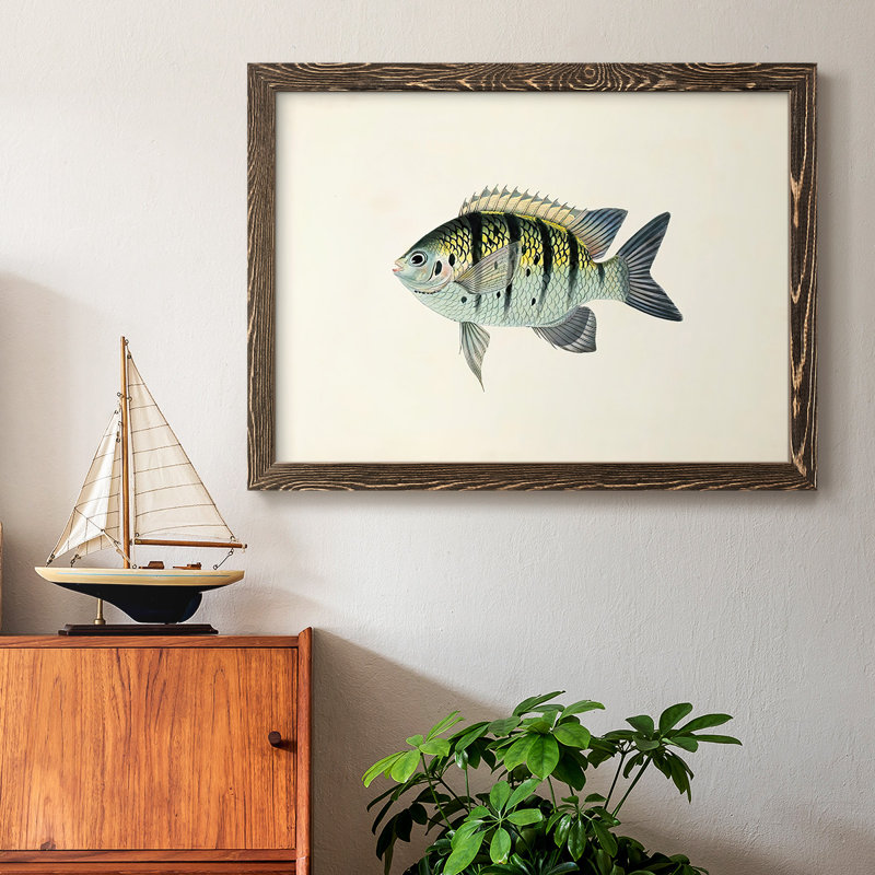 "Tropical Fish Collection VI", reproduction d'art sur toile, Noyer, H 14 po x l 20 po