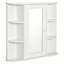 W H Medicine Cabinet Mirror