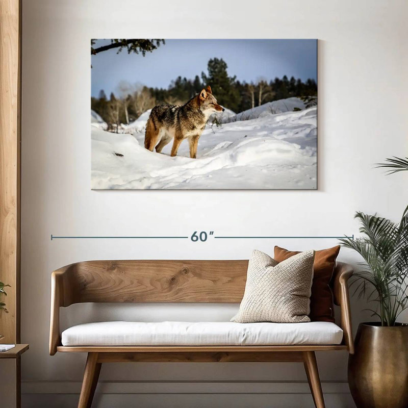 Brampt Winter Snow Coyotes, 30" H x 45" W