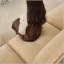 Canapé 2 places avec repose-pieds, canapé 2 places avec 1 repose-pieds mobile, siège moelleux, confortable, large et profond, tiroir de rangement coulissant sous chaque siège, chenille-859249446