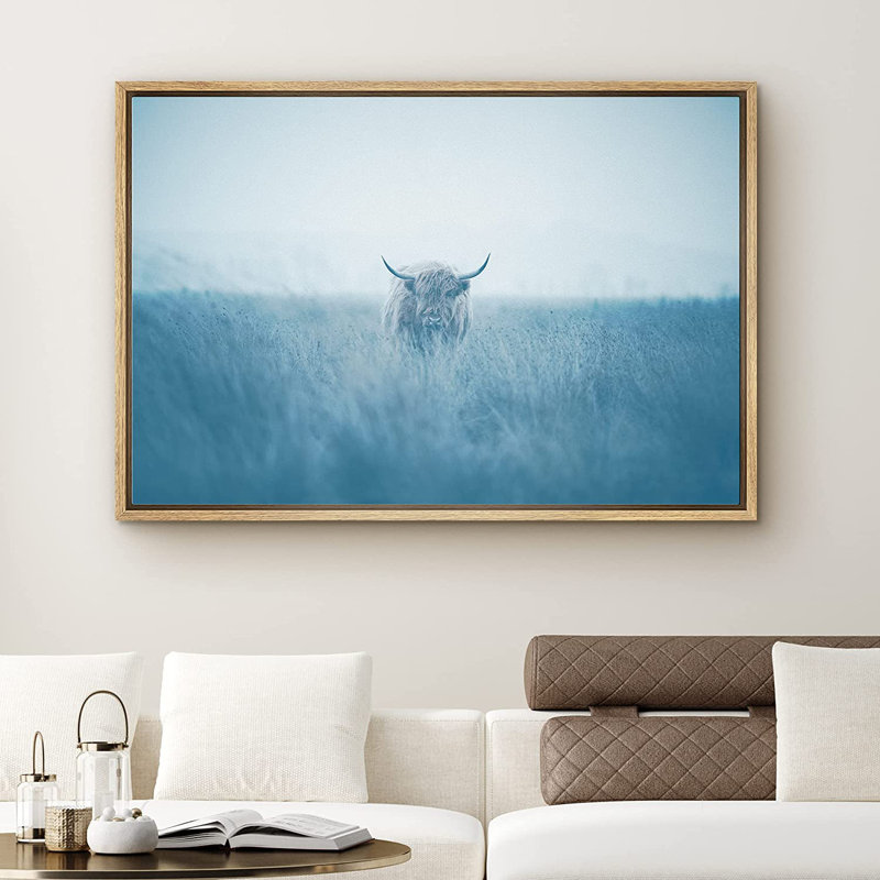 Natural Wood Framed Canvas Print of Shetland Cow in Washed Out Field