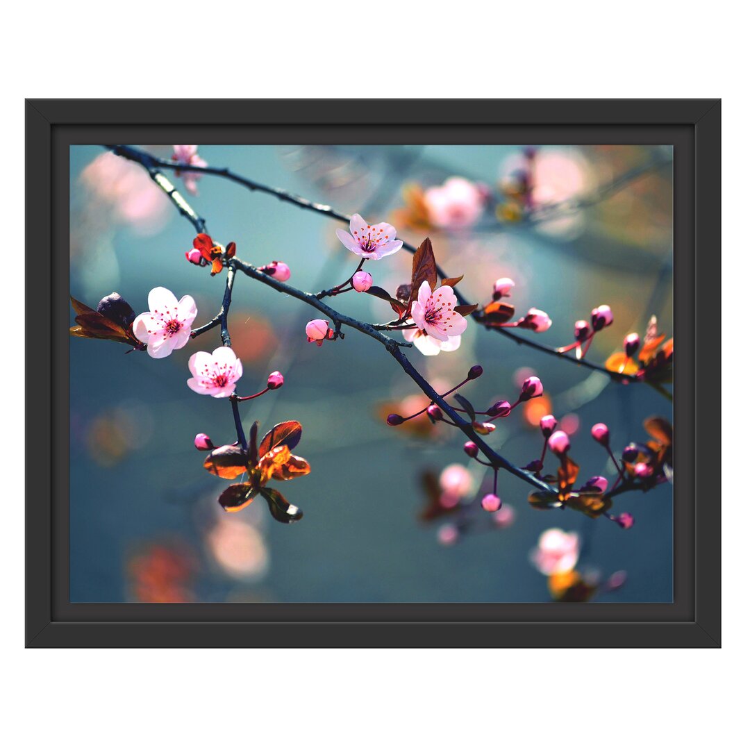 Gerahmtes Wandbild Exotische Sakura Blüten