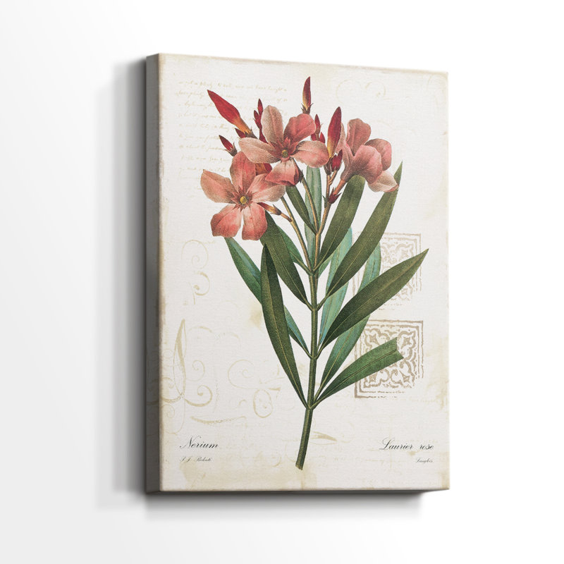 Rose Laurier - Cavas enveloppés de galerie, H 27 po x l 18 po