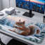 Polyester Desk Pad-1217064504