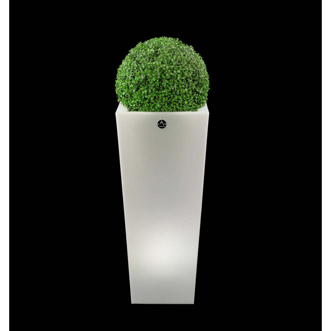 Aix Squara - Artkalia McAlester Pot Planter Orren Ellis 