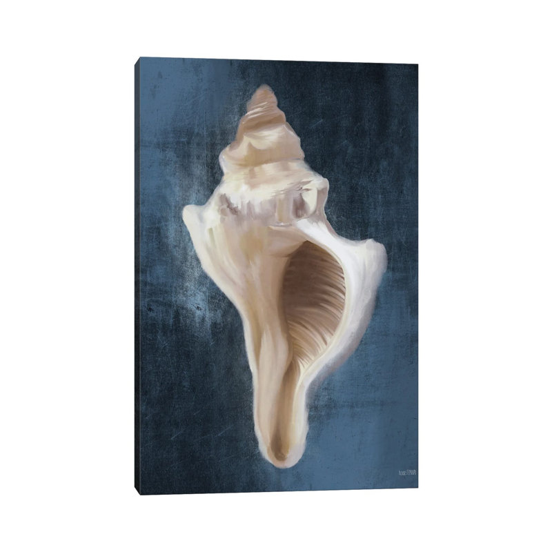Conch Shell Blues II by House Fenway - Wrapped Canvas Print, 20.32 cm H x 30.48 cm W