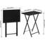 Tray Table