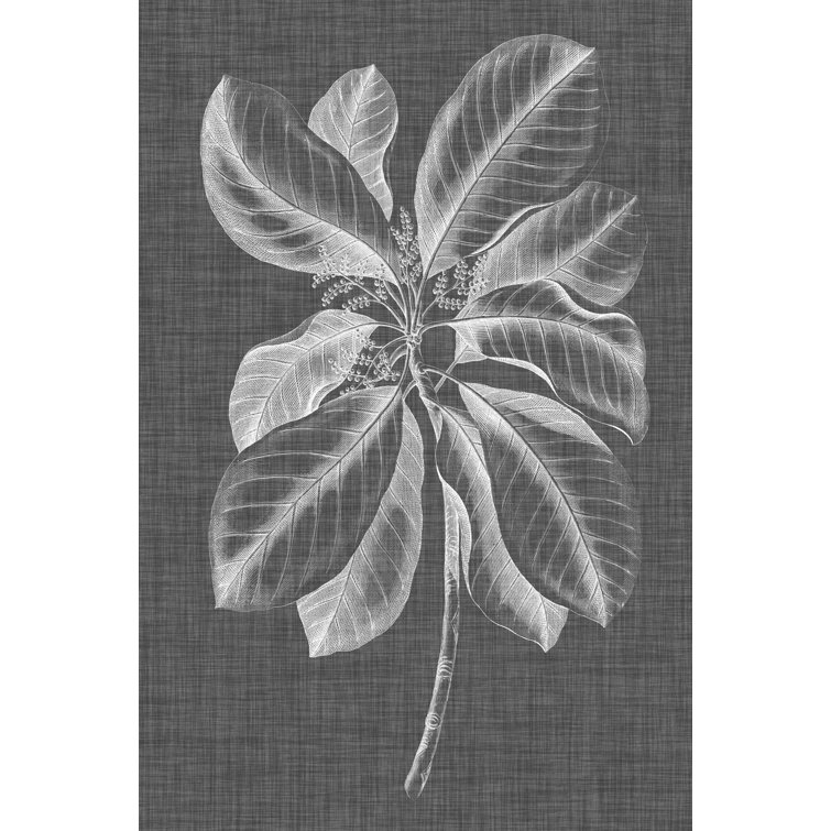 Graphic Foliage II - Wrapped Canvas Print