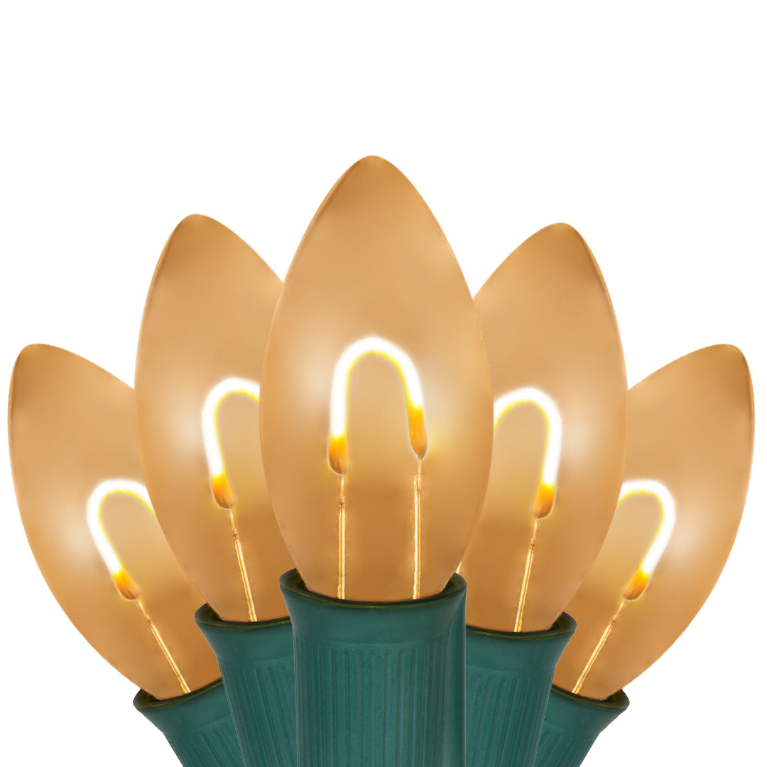 C9 FF PET String Light Kits String Lights The Holiday Aisle® 