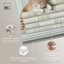 Ivoire, livres et chaton, reproduction d'art sur toile par Art Remedy-117970143-117970144-117970148