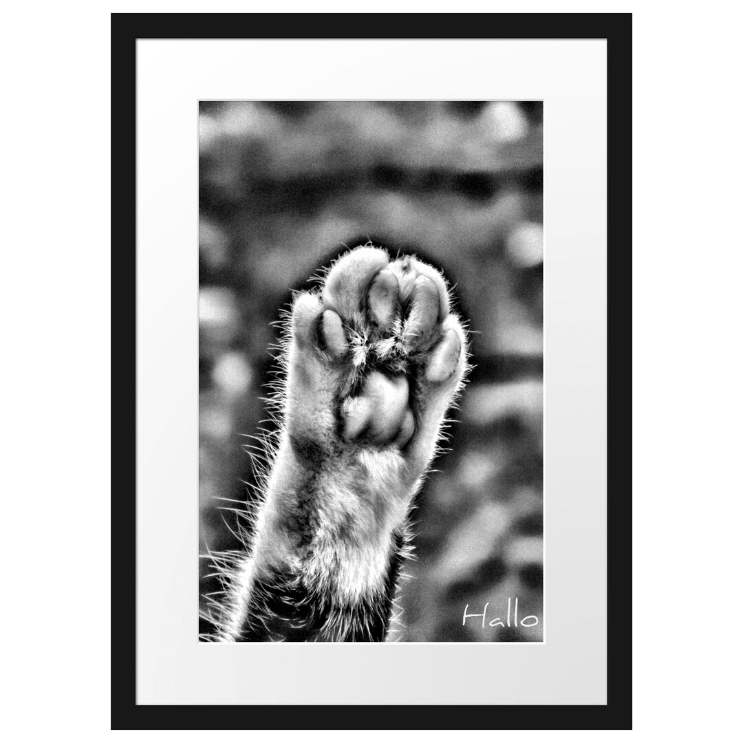 Gerahmtes Poster Small Cat Paws