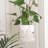 Plant Stand