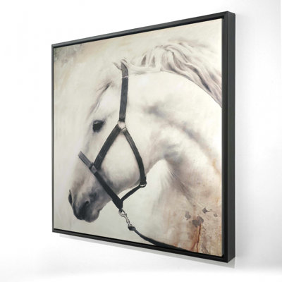 "Darius le cheval blanc"