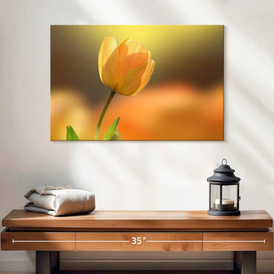 Tulipe jaune Harnek