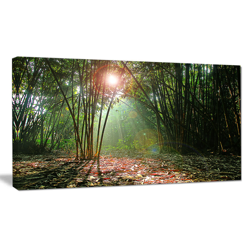 «Amazing Green Forest at Sunset», reproduction de photo sur toile tendue, H 16 po x l 32 po x P 1 po
