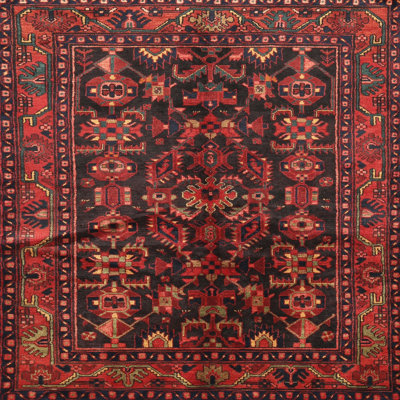Oriental Indoor Rug
