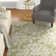 Windsor Oriental Indoor Rug