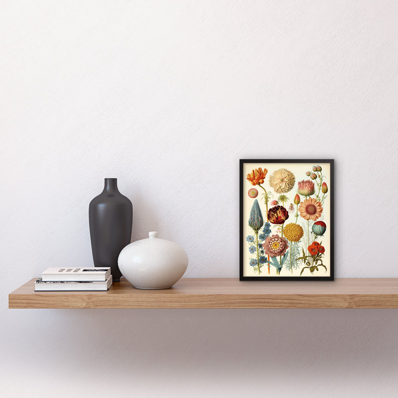 Vintage Botanical Illustration Ernst Haeckel Style Plant - Single Picture Frame Print
