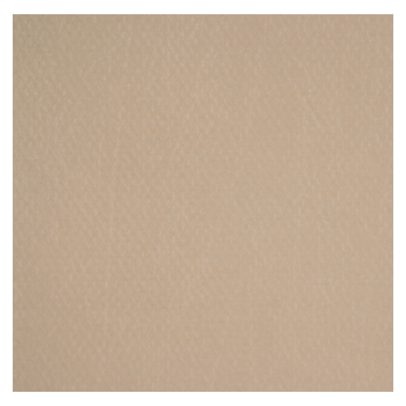 Allure Fabric