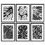 Art mural encadré, ensemble de décors de galerie, motifs de feuilles botaniques minimalistes en noir et blanc, décorations modernes pour salon, chambre à coucher, bureau-116539435-116539438