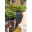 3 Pieces Plant Pot Set