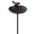 Aleana Metal Scallop Birdbath