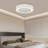 Flush Mount Ceiling Fan Light