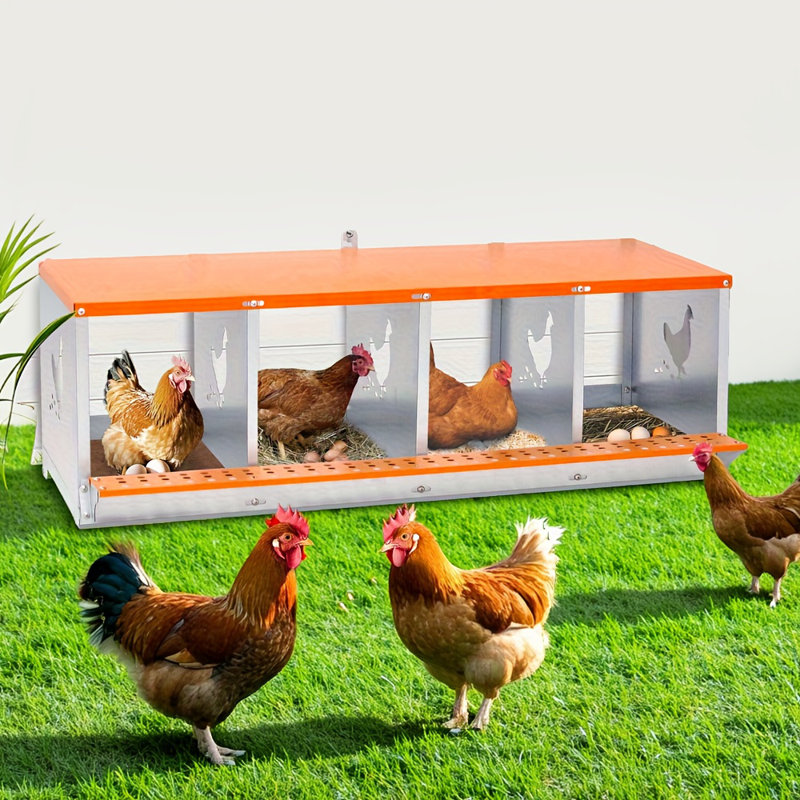 Boîte de nidification en métal orange à 4 baies - Fixation murale pour poules / canards, équipement de poulailler ventilé en acier galvanisé, collection facile d'œufs et assemblage sans outil + tapis de nidification en fibre de noix de coco