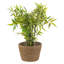 Walbourne Pot Planter-82297935