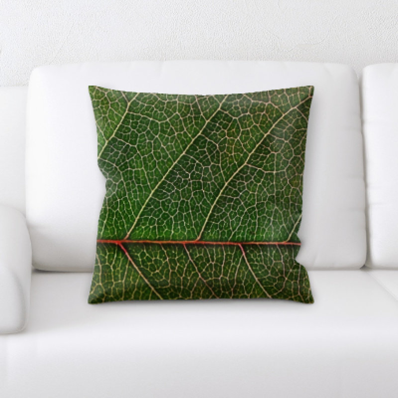  Coussin Leaf Leaf Textures