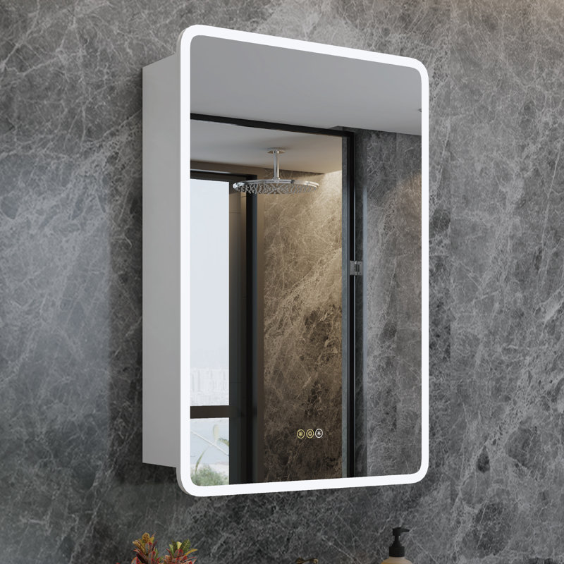 Horatius 24'' W x 30'' H LED Medicine Cabinet with Mirror, Extra-Large Storage Space, Dimmable Lighting, Defogger, Adjustable Shelves, Rounded Edge, Recessed or Surface Mount, Frameless Design