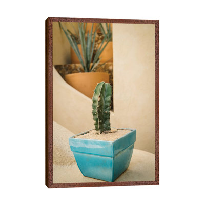 Cabo Cactus V by Bethany Young - Print on Canvas
