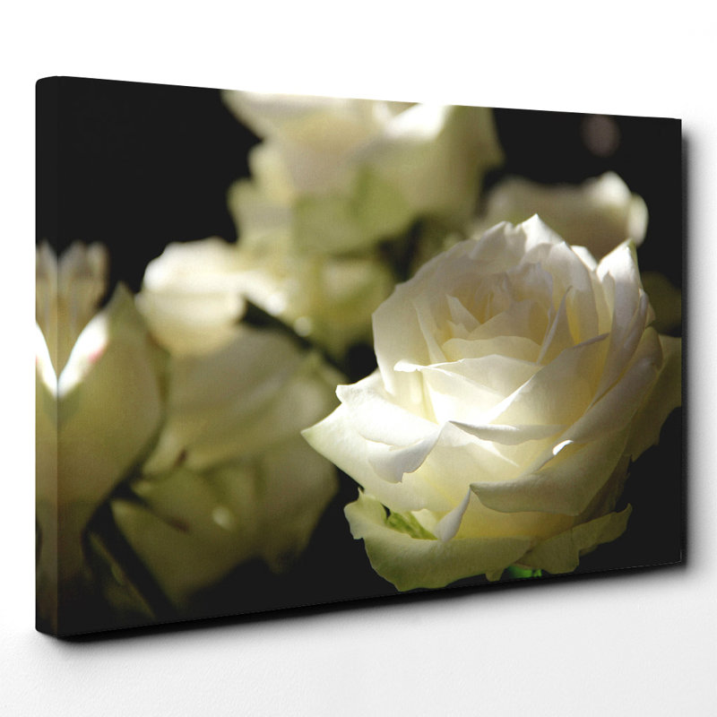Wrapped Canvas Print, 50cm H x 76cm W