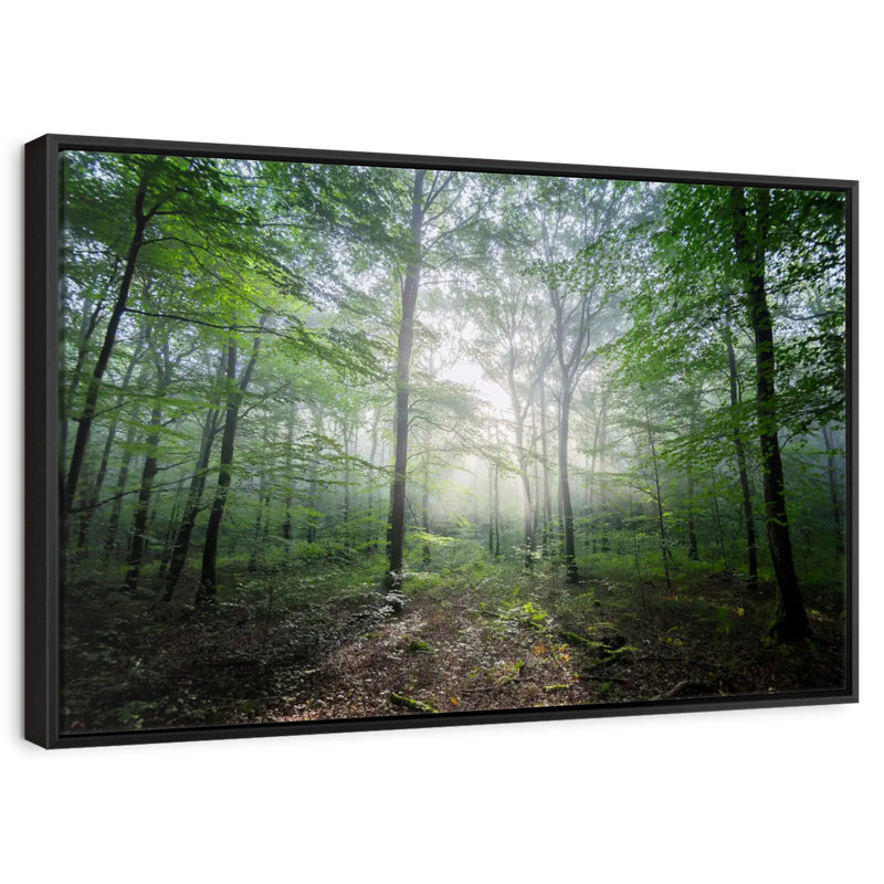 Lighting Forest II, Cadre flottant noir, 43 po x 29 po