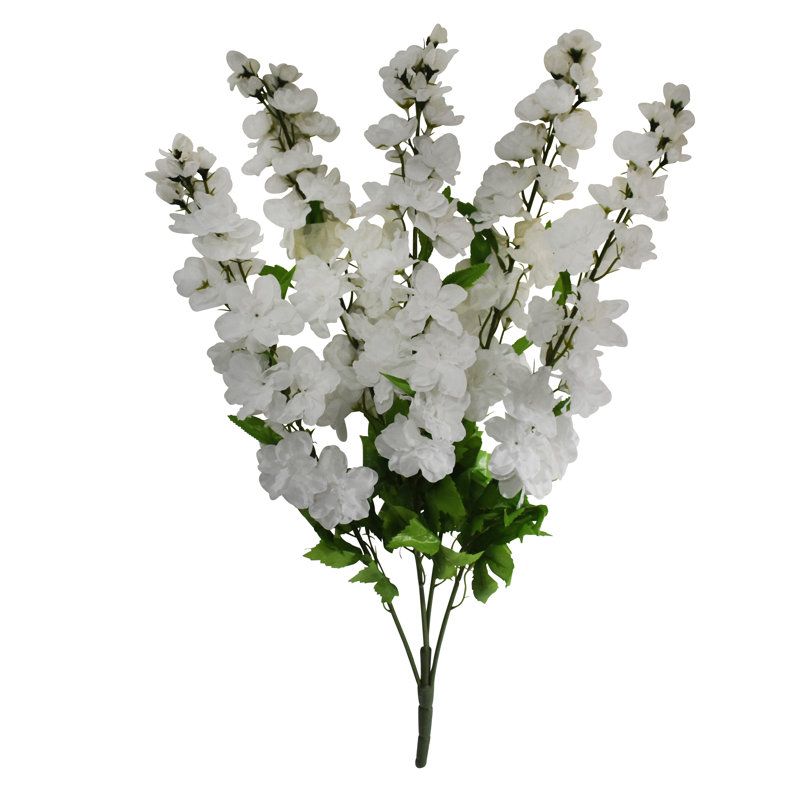26" Delphinium Bush X 5, White