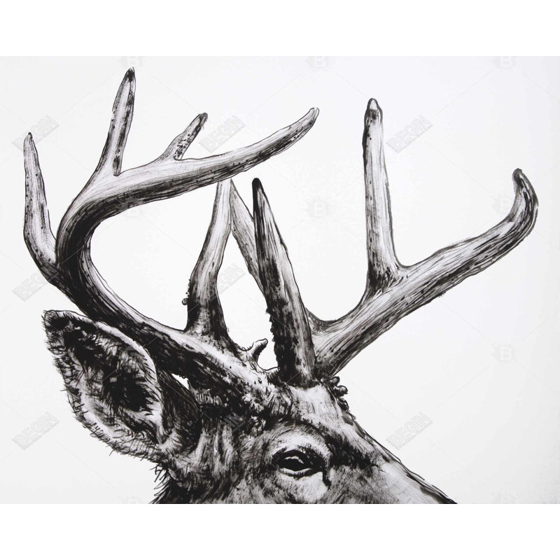Roe Deer Plume - Toile rustique pour décoration intérieure