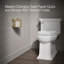 Artifacts® Toilet Tissue Carriage-1073307770
