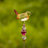 Willetton Birds Garden Stake