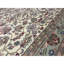Indo Oriental Area Rug in Ivory/Green/Beige