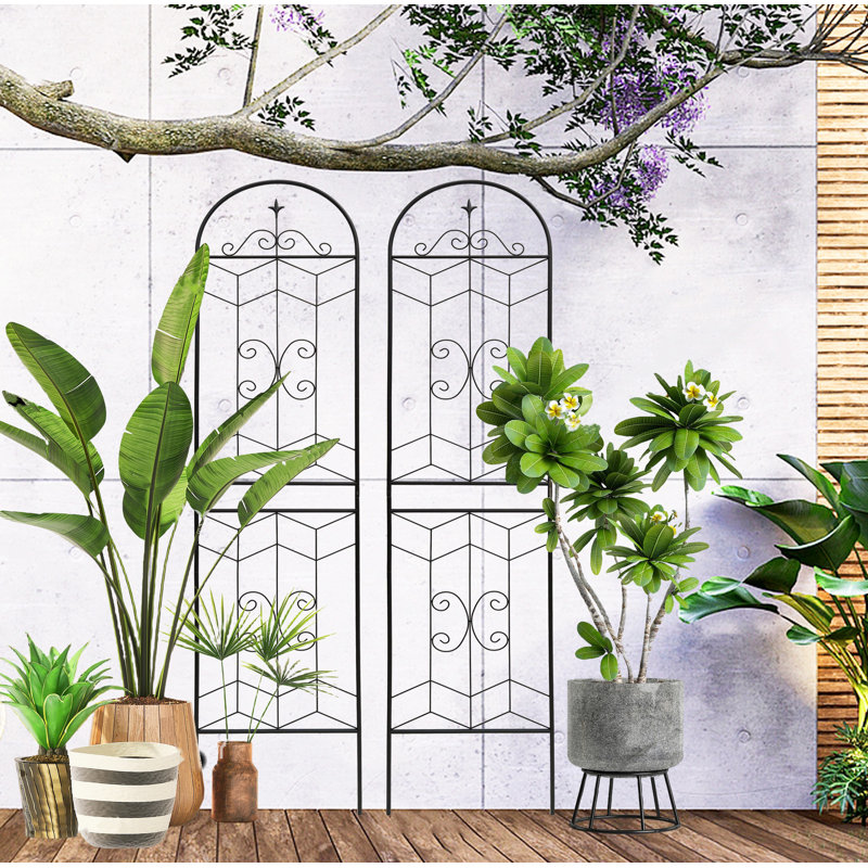 Paquet de 2 treillis de jardin en métal antirouille pour plantes grimpantes support de fleurs extérieur noir