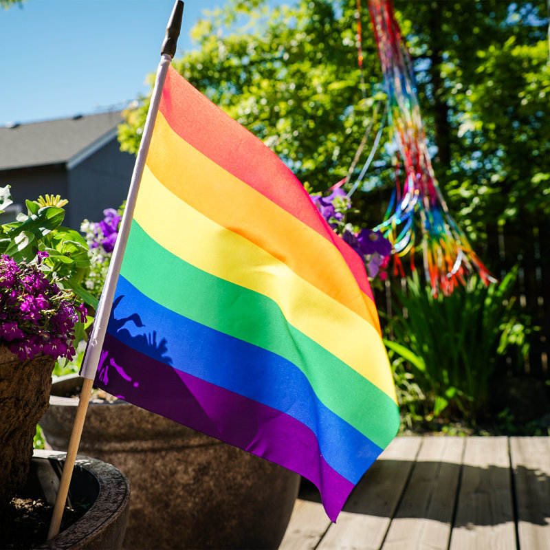 Drapeau imprimé à main arc-en-ciel, H 25 po x l 18 po
