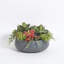 PLANT 14IN Round Succulent Arrangement, Natural Pot-80285220