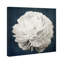 Floral et botanique, jolie vue II, impression d'art moderne sur toile pour le salon-479276826-433071623