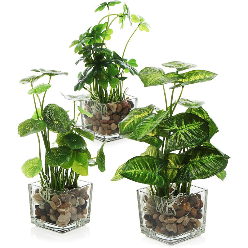 22cm Faux Evergreen Plant in Glass Pot