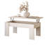 Helenmae Height-Adjustable Coffee Table with Storage-337799583