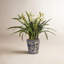 Orchid Faux Floral Arrangement in Pot