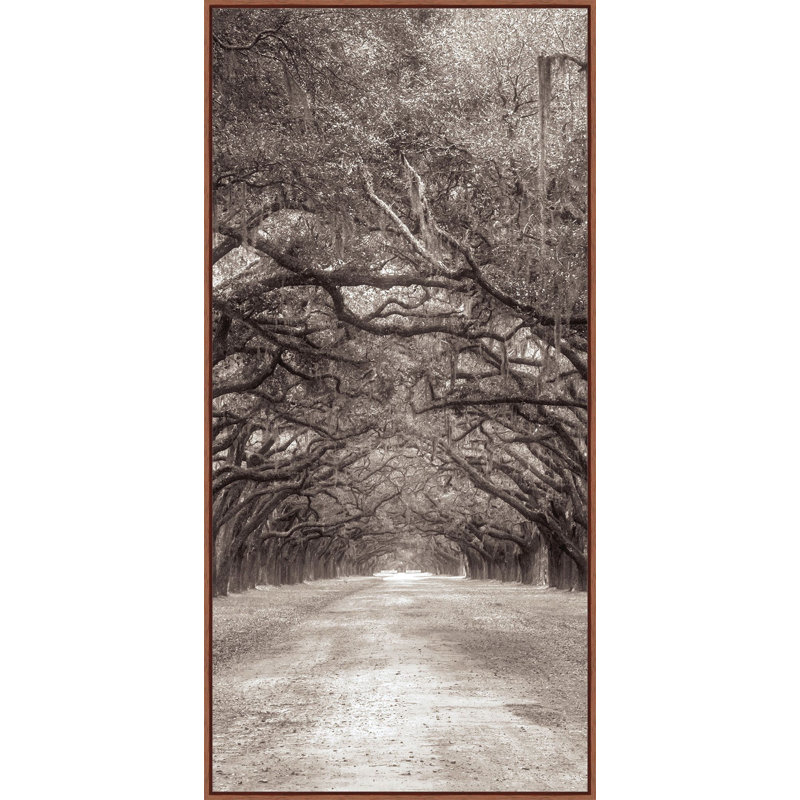 Nature's Arch Triptych " Nature's Arch Triptych B " by Lillian August