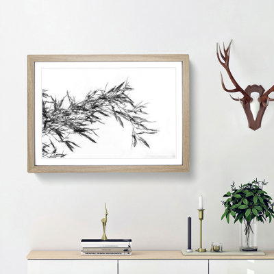 Leaves of a Bamboo Plant - Picture Frame Graphic Art Print