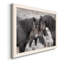 Chevaux sauvages - Photographie de cadre photo sur toile-265811772-265811773
