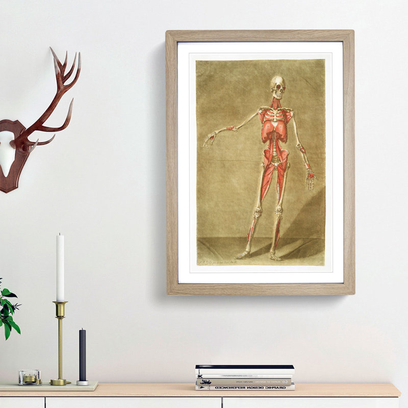 Anatomical Illustration of a Male No. 4 by Gautier-Dagoty - Picture Frame Painting Print, 65cm H x 48cm W x 2cm D, Oak Framed